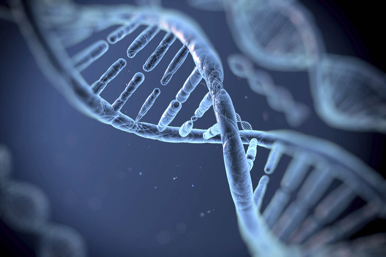 DNA close-up